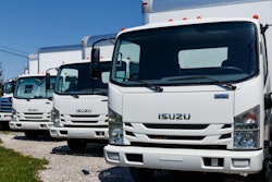 Isuzu trucks in a line