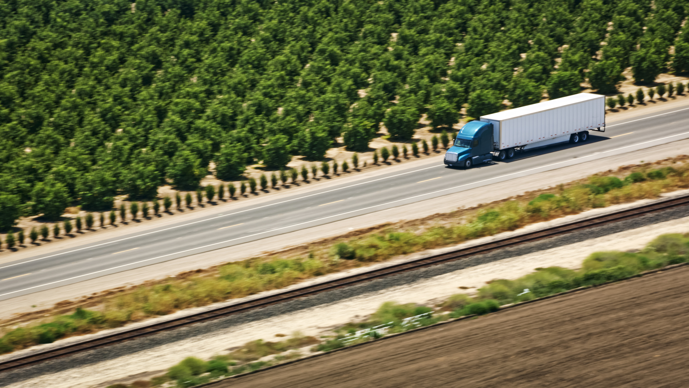 Truck In California By Trees
